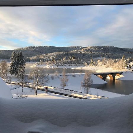 Appartement Sunset, 28Qm Schluchsee Exteriör bild